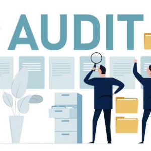 BUSINESS & PROFESSION (AUDITED)