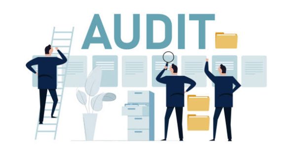 BUSINESS & PROFESSION (AUDITED)